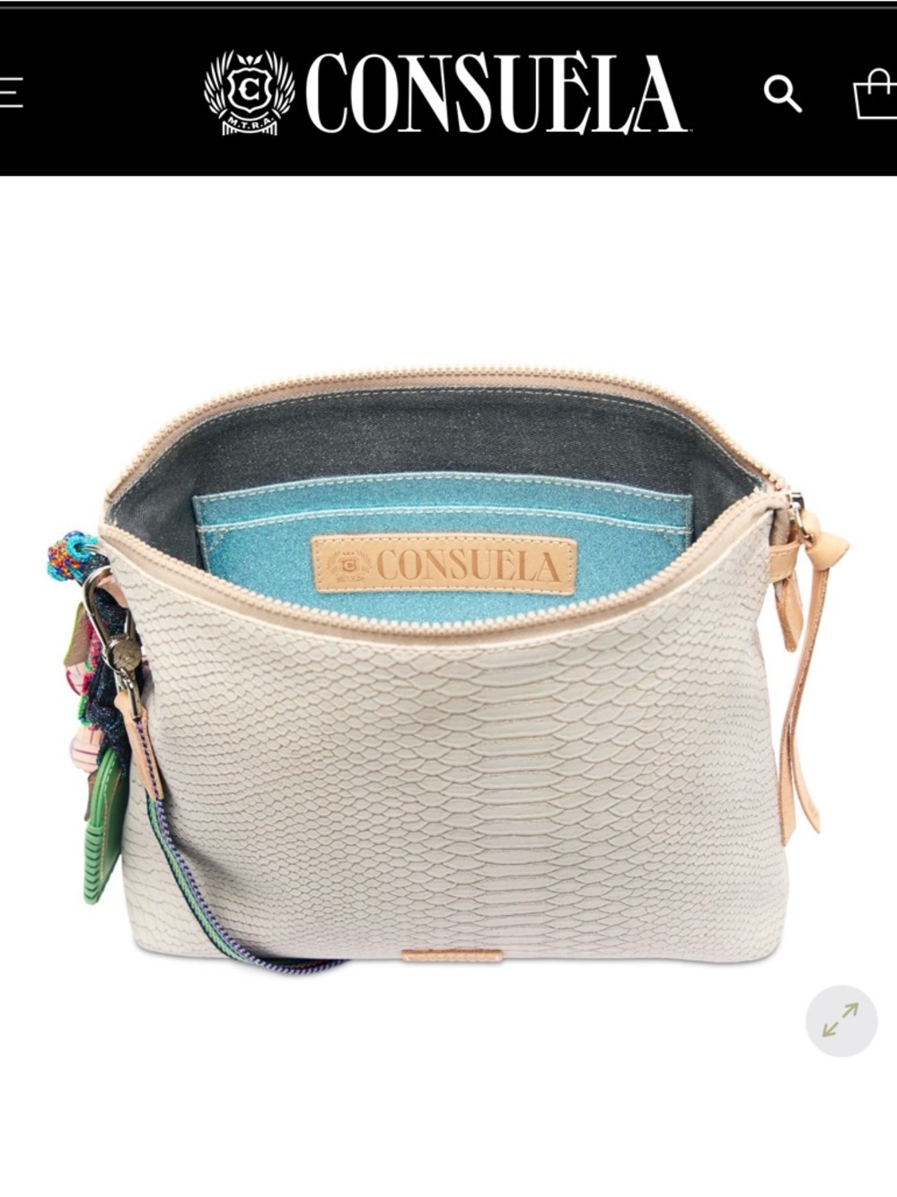 Consuela Thunderbird Downtown Crossbody with Multicolor Strap - Picture 3 of 13